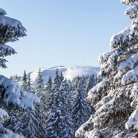 Waldblick Titisee Kültér fotó