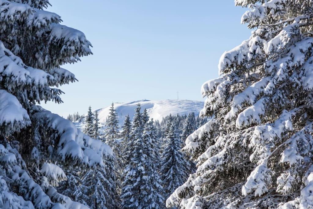 Waldblick Titisee Kültér fotó