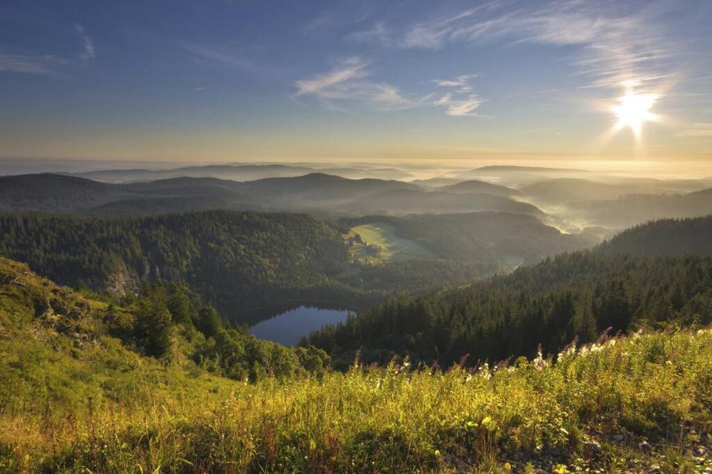 Waldblick Titisee Kültér fotó