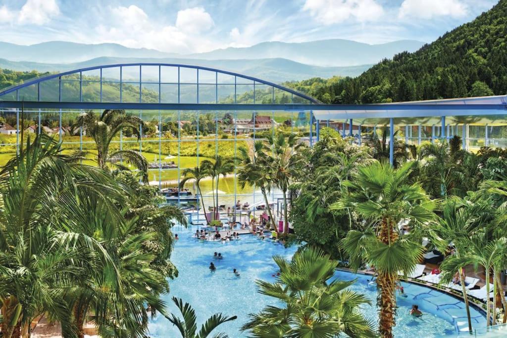 Waldblick Titisee Kültér fotó