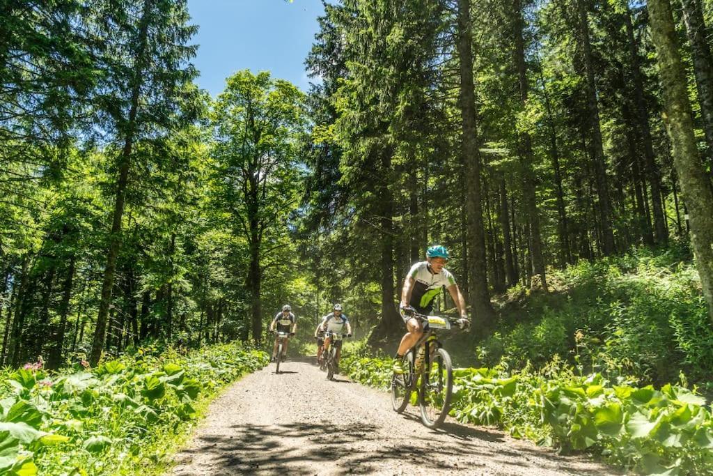 Waldblick Titisee Kültér fotó